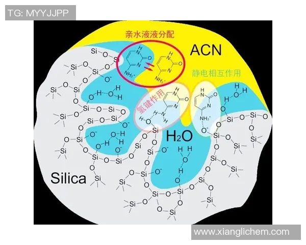 日职联跨年赛制的创新与挑战分析及其对球队表现的影响探讨