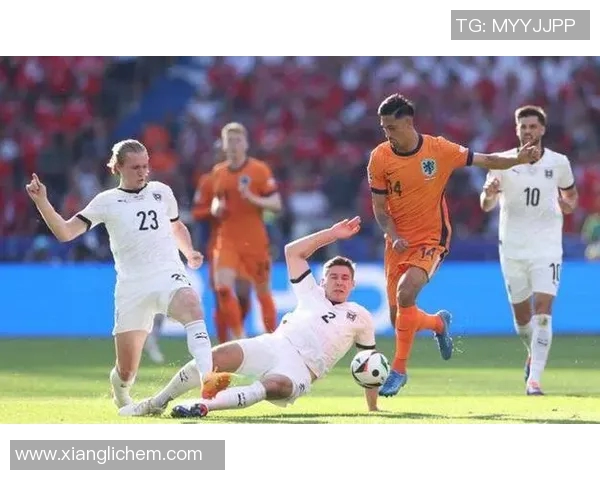 冷门赛事背后的原因探讨与分析揭示其影响力与发展潜力