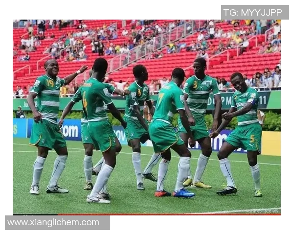 非洲杯精彩对决埃及与尼日利亚谁能笑到最后争夺荣耀之战